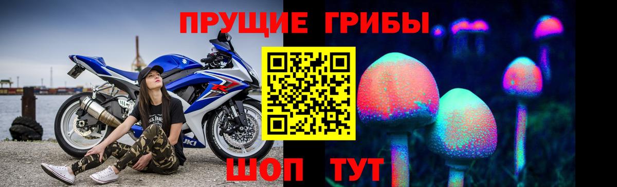 Галлюциногенные грибы GOLDEN TEACHER  Галлюциногенные грибы MAGIC MUSHROOMS  Вход с VPN  Глазов 